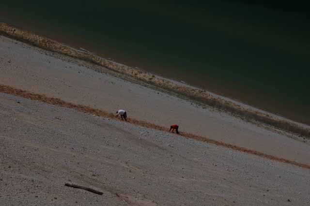 climbing the dune